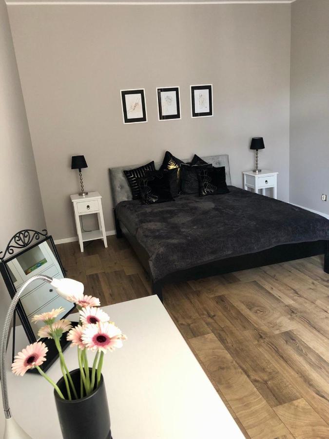 Kamieniczka 12 Apartamenty تشينستوخوفا المظهر الخارجي الصورة